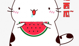 吃瓜爆料图片表情包可爱,吃瓜表情包里的可爱瞬间